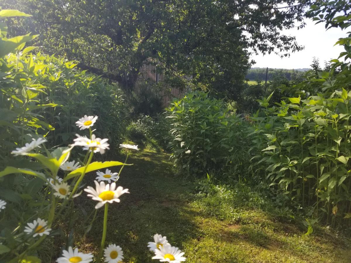 Le petit paradis, mini maison,nature,confort,calme Saint-Julien-le-Petit Extérieur photo