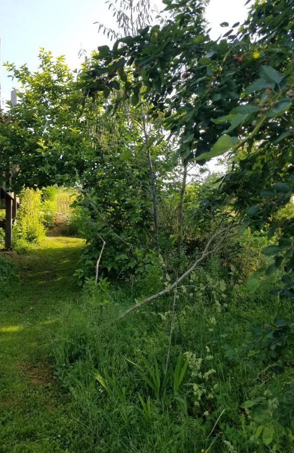 Le petit paradis, mini maison,nature,confort,calme Saint-Julien-le-Petit Extérieur photo