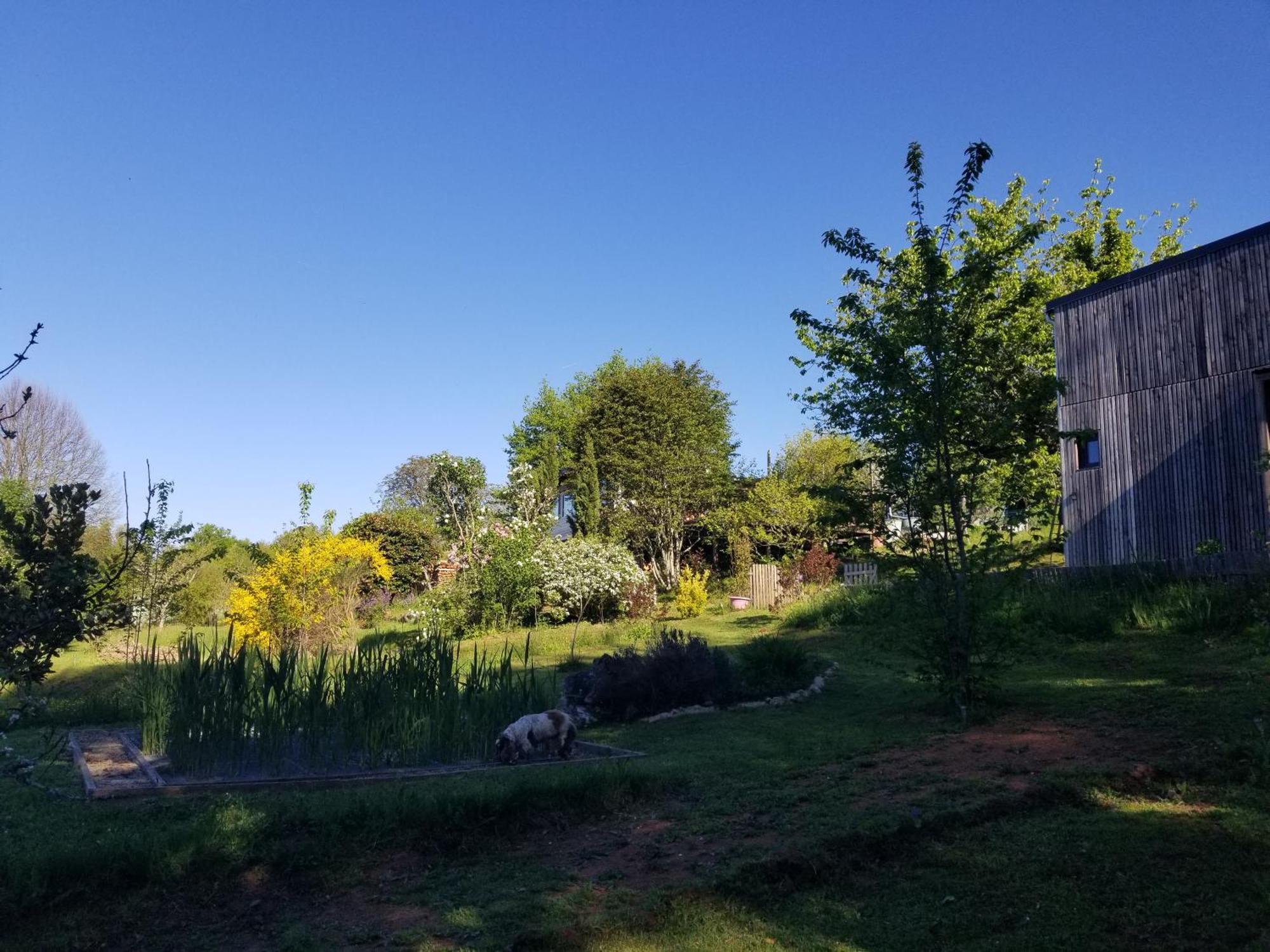 Le petit paradis, mini maison,nature,confort,calme Saint-Julien-le-Petit Extérieur photo